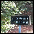 GOUTTE DES CANAL 90.JPG
